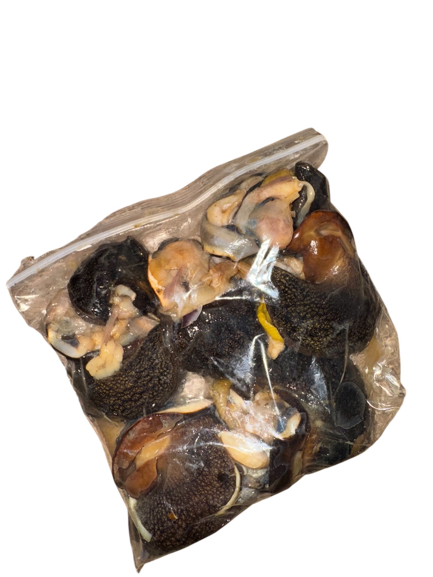 ESCARGOTS